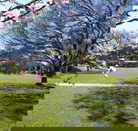 Koshigaya Park - Accommodation Sunshine Coast