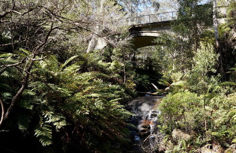 Leura Cascades - Accommodation Sunshine Coast 2