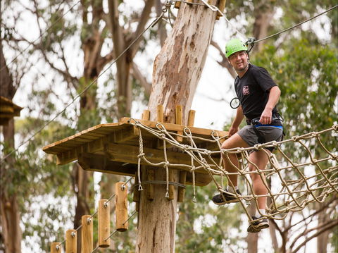 Live Wire Park - Accommodation Sunshine Coast 1