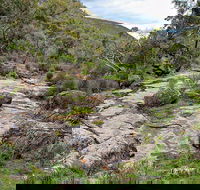 Lynchs Loop Trail - Accommodation Sunshine Coast
