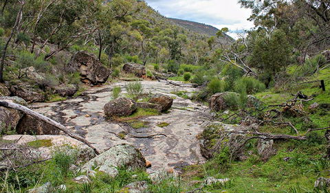 Lynchs Loop Trail - Accommodation Sunshine Coast 0