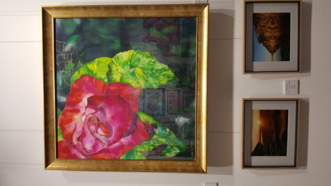 Macleay Valley Community Art Gallery - Accommodation Sunshine Coast 0