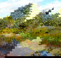Mansfield Mullum Wetlands - Accommodation Sunshine Coast