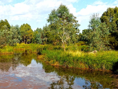 Mansfield Mullum Wetlands - Accommodation Sunshine Coast 0