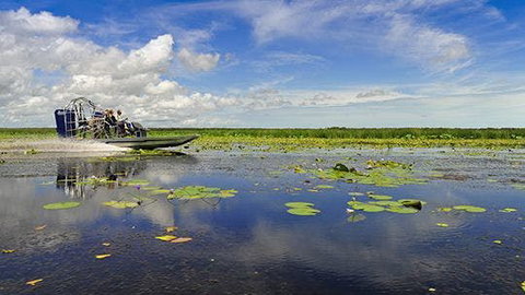 Mary River Area - Accommodation Sunshine Coast 2