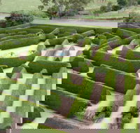 Mintaro Maze - Accommodation Sunshine Coast