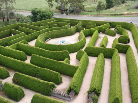 Mintaro Maze - Accommodation Sunshine Coast 0
