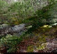 Mongarlowe River picnic area - Accommodation Sunshine Coast