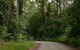 Moonpar Forest Drive - Cascade National Park - thumb 0