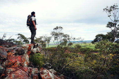 Mount Matilda - Accommodation Sunshine Coast 0