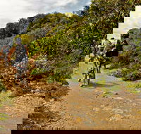Mountain Biking Trails - Accommodation Sunshine Coast