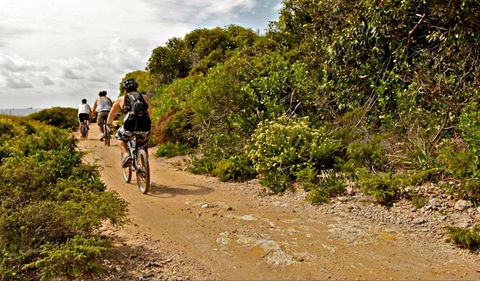 Mountain Biking Trails - Accommodation Sunshine Coast 0