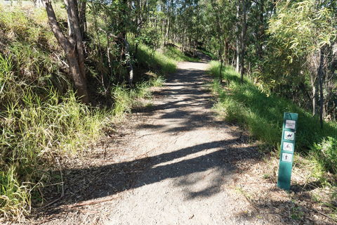 Mt Coot-tha Tourist Drive - Accommodation Sunshine Coast 2