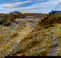 Murramarang Aboriginal Area Walking Track - Accommodation Sunshine Coast
