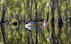Murray River Canoe Trails - thumb 0