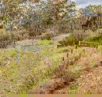 Old Mountain Road Walking Track - Accommodation Sunshine Coast