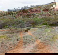 Original Glen Helen Homestead - Accommodation Sunshine Coast