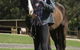 Otford Farm Horse Riding - thumb 0