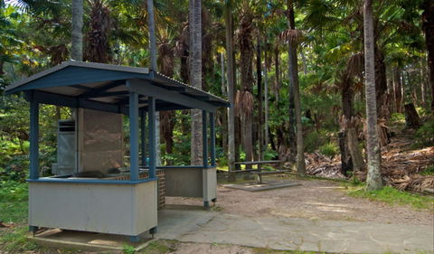 Palms Picnic Area - Accommodation Sunshine Coast 1