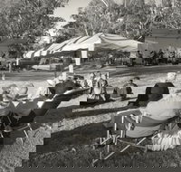 Pioneer Park - Accommodation Sunshine Coast