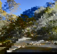 Pipers River Board Walk - Accommodation Sunshine Coast