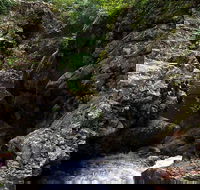 Potoroo Falls walk - Accommodation Sunshine Coast