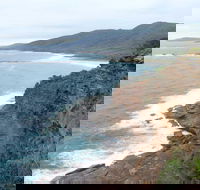 Pretty Beach to Snapper Point Walking Track - Accommodation Sunshine Coast