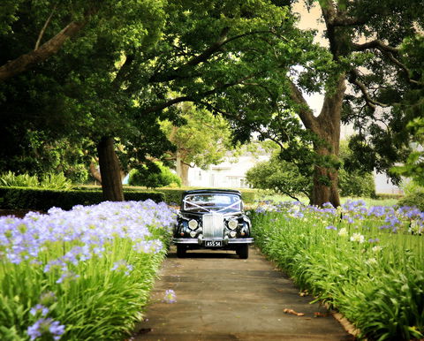 Queens Park, Toowoomba - Accommodation Sunshine Coast 2