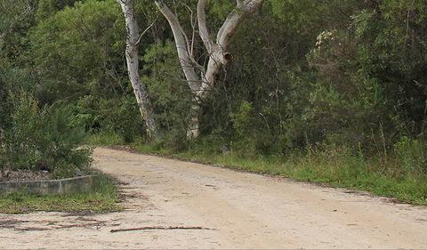 Riverview Walking Track - Accommodation Sunshine Coast 0