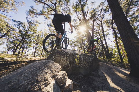 St Helens Mountain Bike Trails - Accommodation Sunshine Coast 1