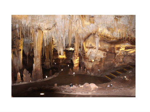 Tantanoola Caves - Accommodation Sunshine Coast 1