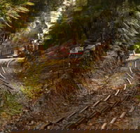 The West Coast Wilderness Way - Accommodation Sunshine Coast