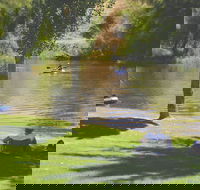 The Lions Junction Park - Tumut - Accommodation Sunshine Coast