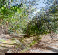 Tip to Tail Trail - Accommodation Sunshine Coast