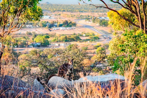 Towers Hill Lookout And Amphitheatre - Accommodation Sunshine Coast 2
