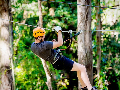 TreeTop Challenge Currumbin Wildlife Sanctuary - Accommodation Sunshine Coast 0