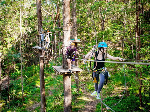 TreeTop Challenge Currumbin Wildlife Sanctuary - Accommodation Sunshine Coast 1