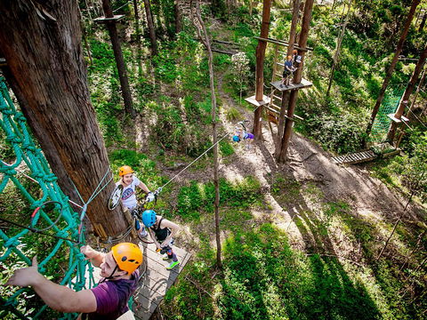 TreeTop Challenge Currumbin Wildlife Sanctuary - Accommodation Sunshine Coast 2