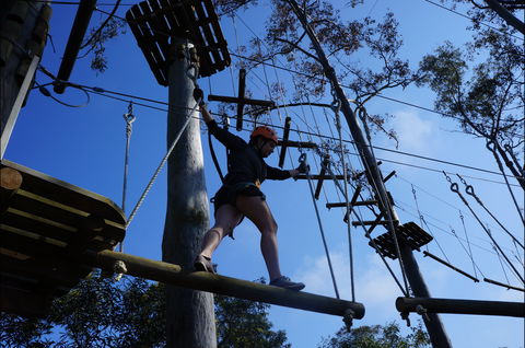 Trees Adventure Nowra Park - Accommodation Sunshine Coast 0