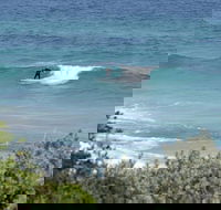 Trigg Island Beach - Accommodation Sunshine Coast