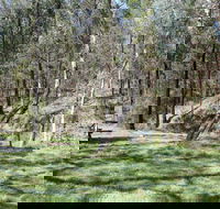 Wallaby Walking Track - Accommodation Sunshine Coast
