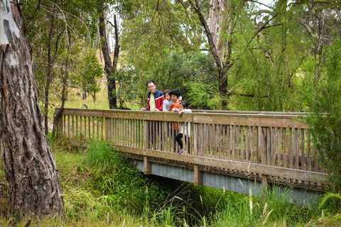 Westerfolds Park - Accommodation Sunshine Coast 0