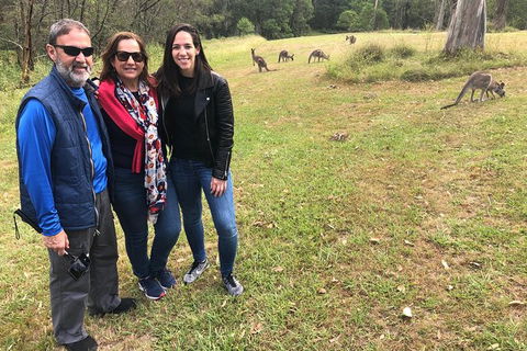 Blue Mountains Number 1 Day Tour Includes Popular Breakfast In The Aussie Bush - Accommodation Sunshine Coast 14