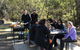 Blue Mountains Number 1 Day Tour Includes Popular Breakfast In The Aussie Bush - thumb 11
