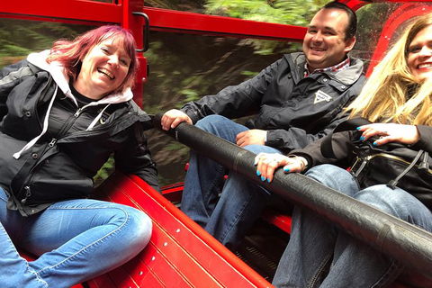 Blue Mountains Number 1 Day Tour Includes Popular Breakfast In The Aussie Bush - Accommodation Sunshine Coast 12