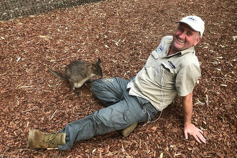 Blue Mountains Number 1 Day Tour Includes Popular Breakfast In The Aussie Bush - Accommodation Sunshine Coast 2
