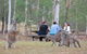 Blue Mountains Number 1 Day Tour Includes Popular Breakfast In The Aussie Bush - thumb 15
