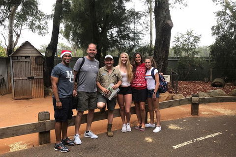 Blue Mountains Number 1 Day Tour Includes Popular Breakfast In The Aussie Bush - Accommodation Sunshine Coast 9