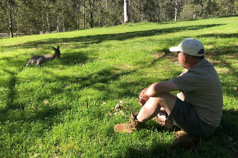 Blue Mountains Number 1 Day Tour Includes Popular Breakfast In The Aussie Bush - Accommodation Sunshine Coast 23