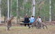 Blue Mountains Number 1 Day Tour Includes Popular Breakfast In The Aussie Bush - thumb 0